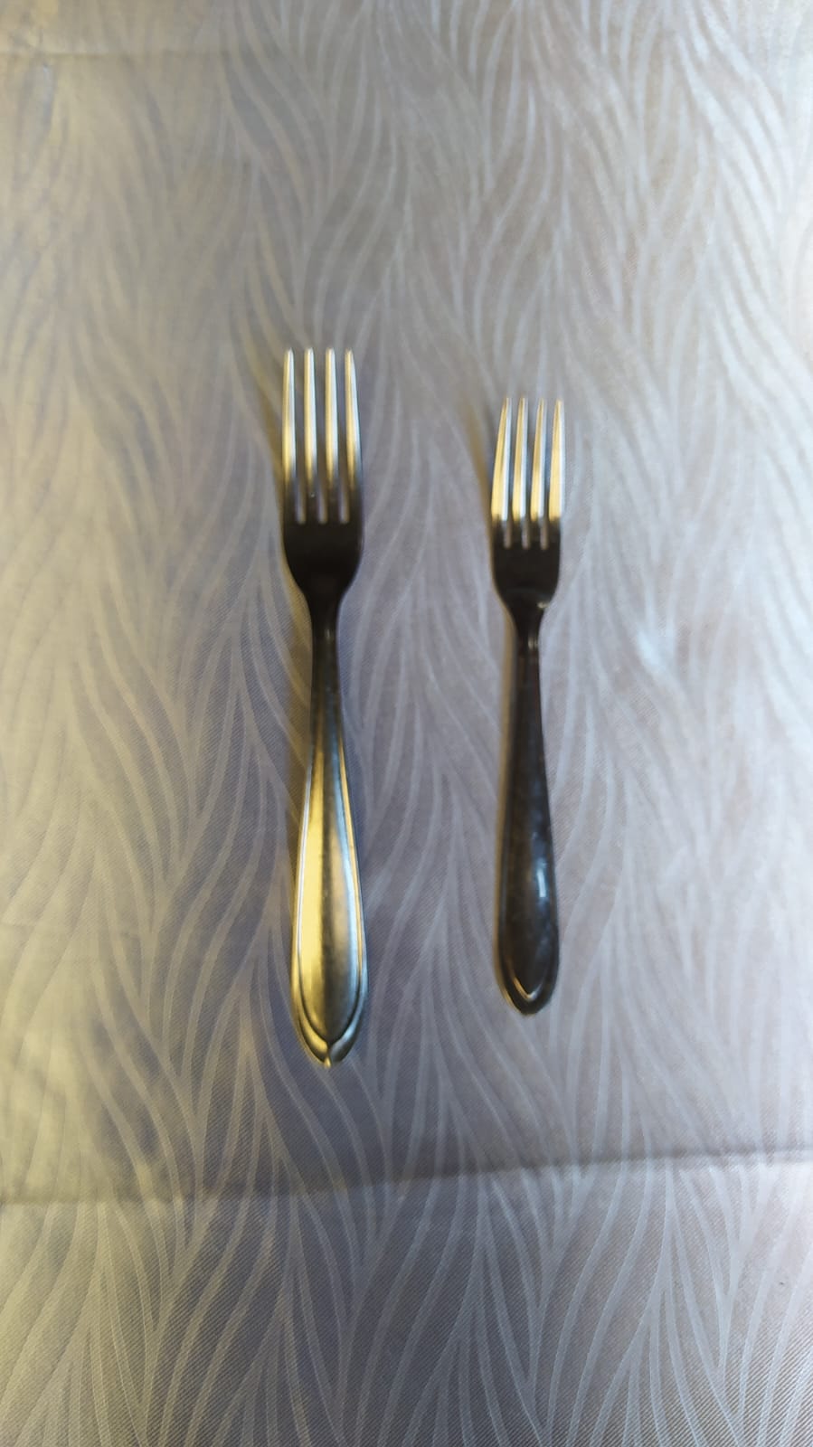 WhatsApp Image 2026-02-05 at 19.03.05.jpeg